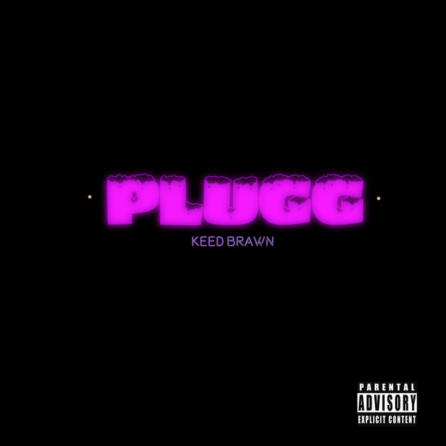 Plugg cover art