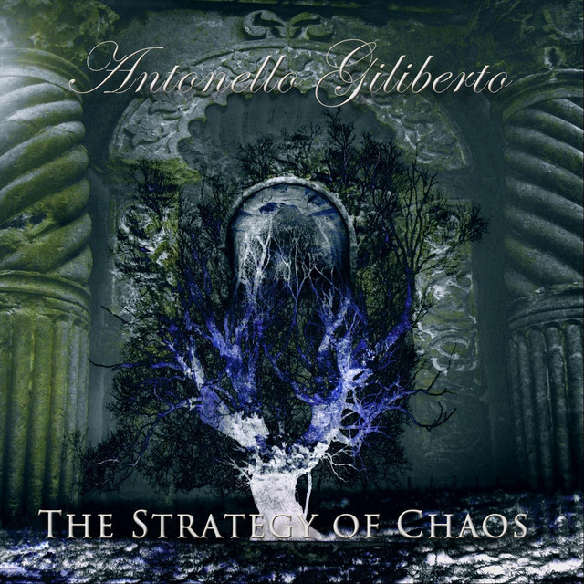 The Strategy of Chaos cover
