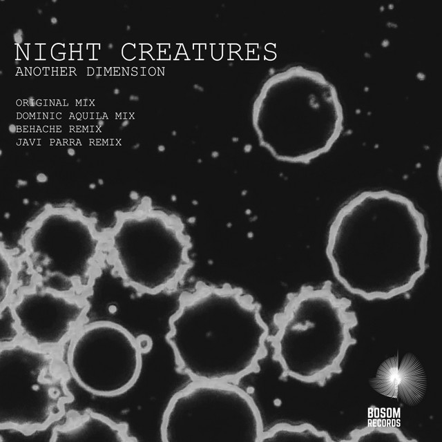 Another Dimension cover art