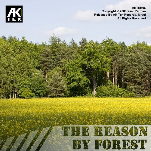 The Reason - Original cover art
