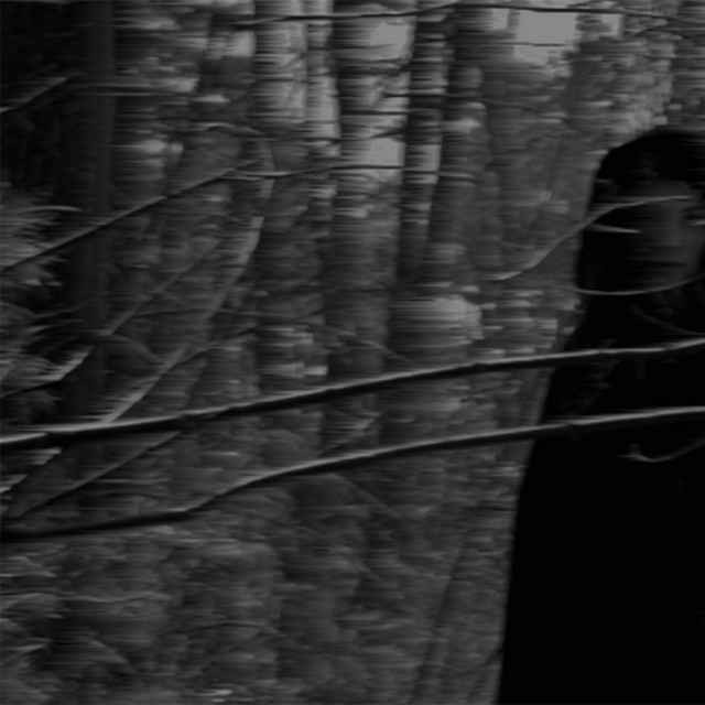 Devastated cover art