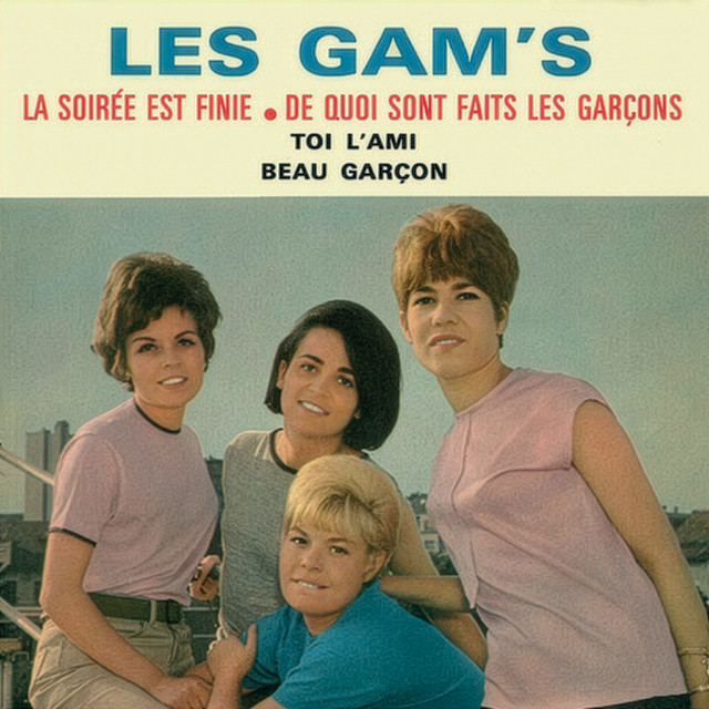 La soirée est finie cover