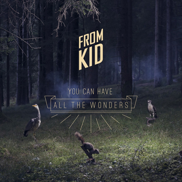 You Can Have All the Wonders cover art