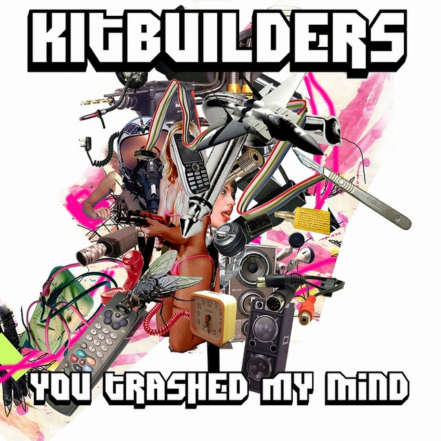 You Trashed My Mind cover art