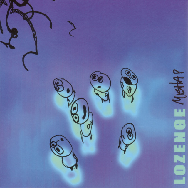 Mishap cover