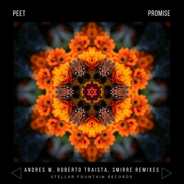 Promise cover art