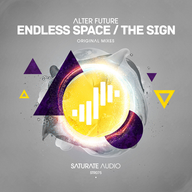 Endless Space / The Sign cover