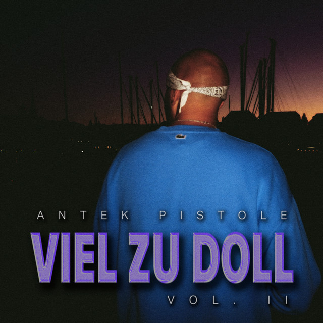 VIEL ZU DOLL VOL. II cover