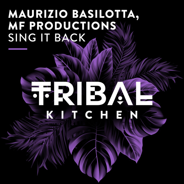 Sing It Back - Extended Mix album art