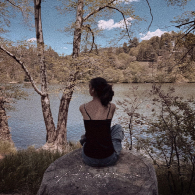 Amorosa cover art