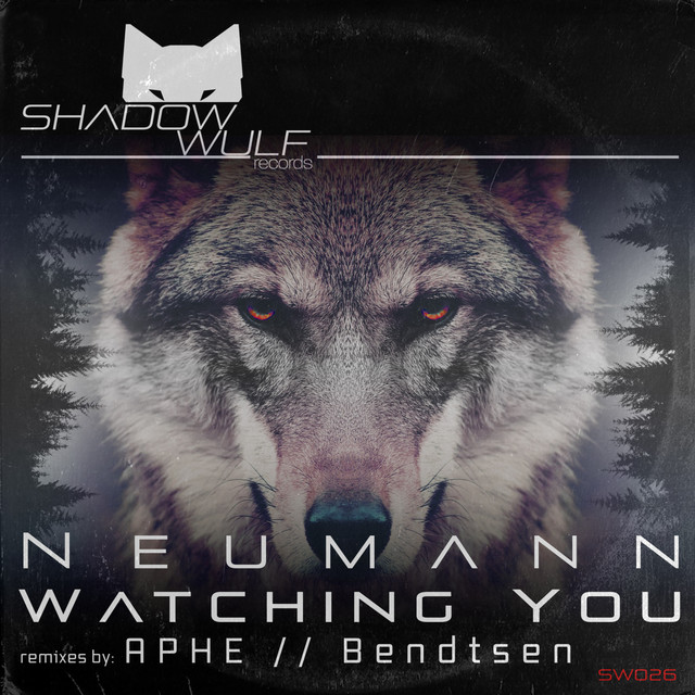 Watching You album art