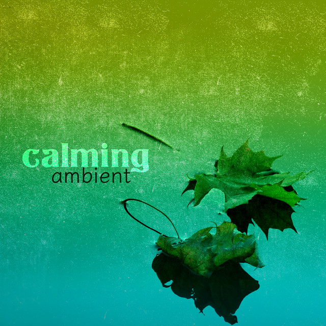 Calming Ambient cover art