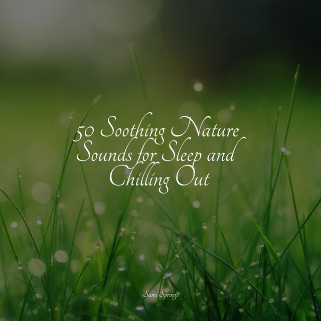 50 Soothing Nature Sounds for Sleep and Chilling Out - Album by Rain ...