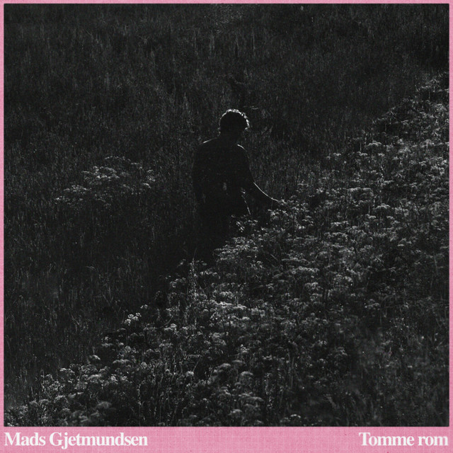 Tomme rom cover art