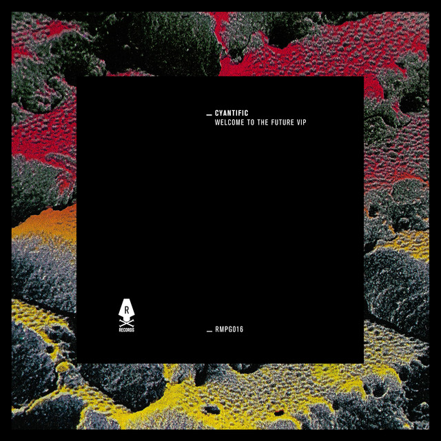 Welcome To The Future VIP artwork