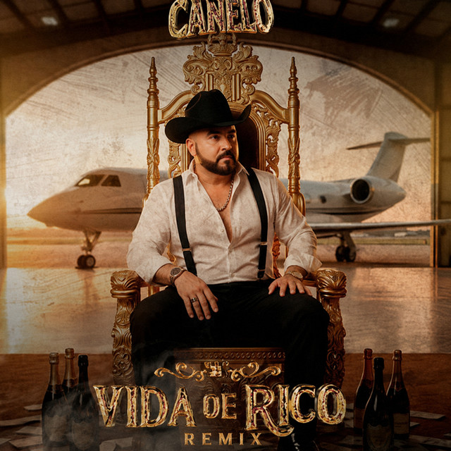 Vida De Rico - Remix