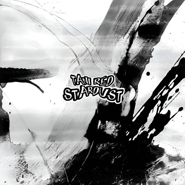 STARDUST cover art
