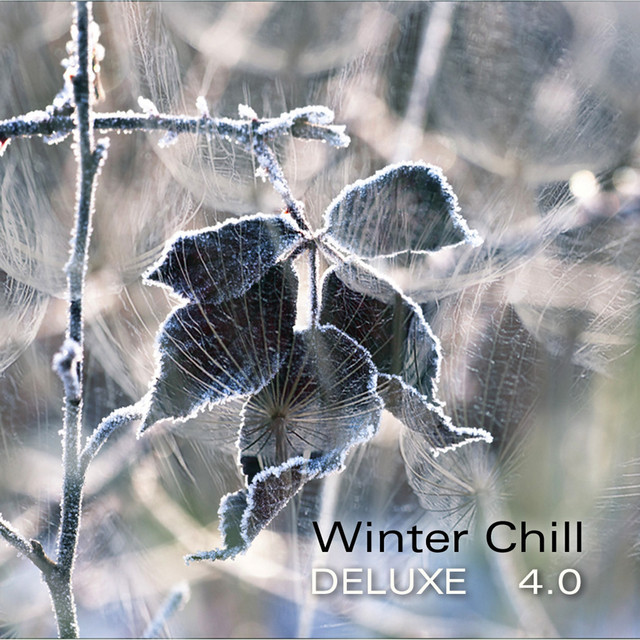 Winter Chill Deluxe 4.0 cover