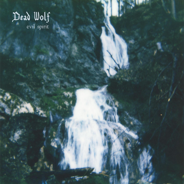 Evil Spirit cover art