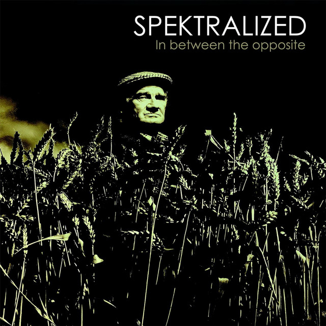 In Between the Opposite cover art
