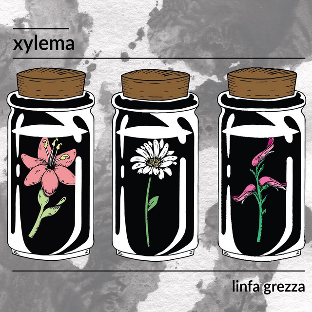 Linfa Grezza cover art