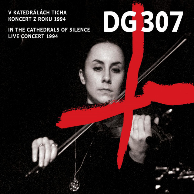 V katedrálách ticha (Live koncert z roku 1994) cover