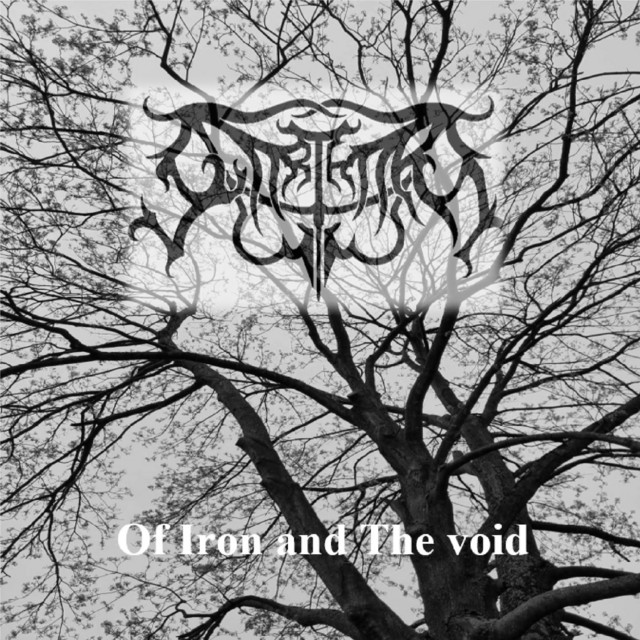 Of Iron and The void cover