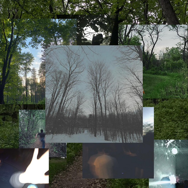 Vestibulum cover art