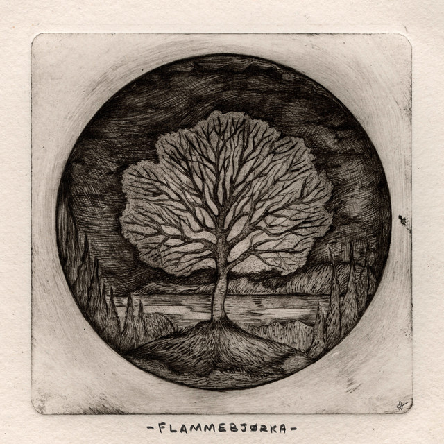 Flammebjørka album image