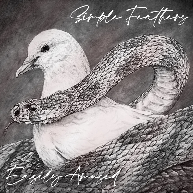 Simple Feathers cover