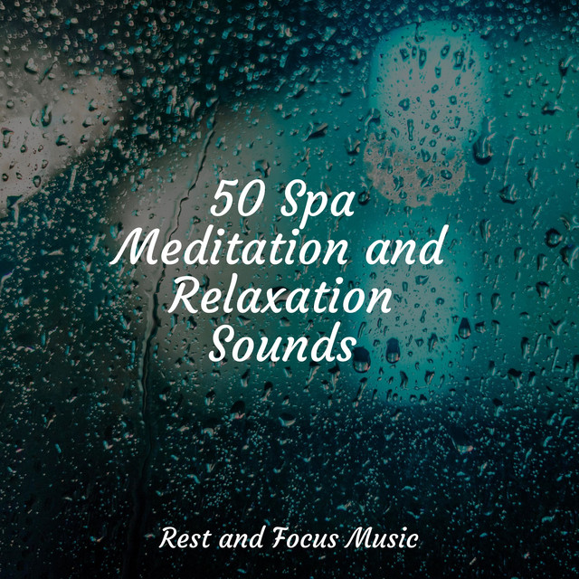 50 Spa Meditation and Relaxation Sounds - Album by Baby Sweet Dream ...