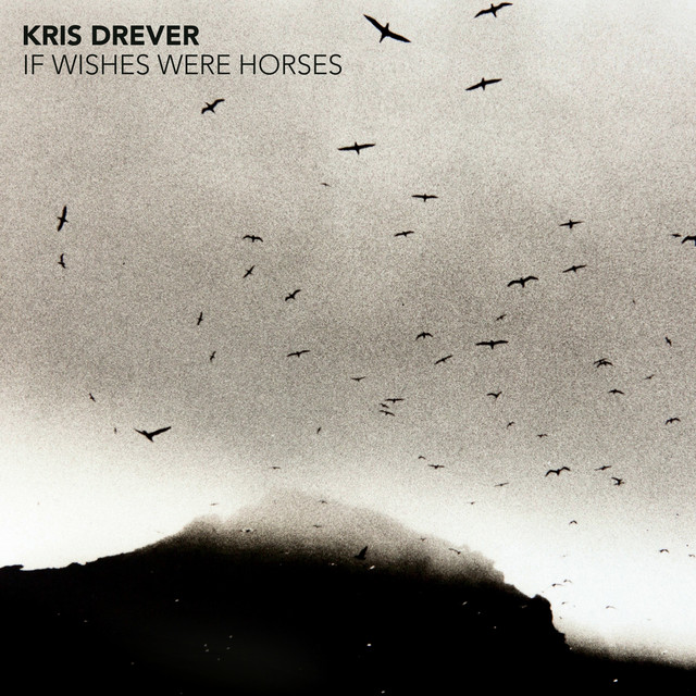 If Wishes Were Horses cover art