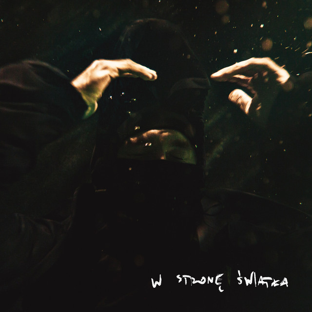 W stronę światła cover art