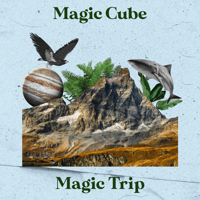 Magic Trip cover art