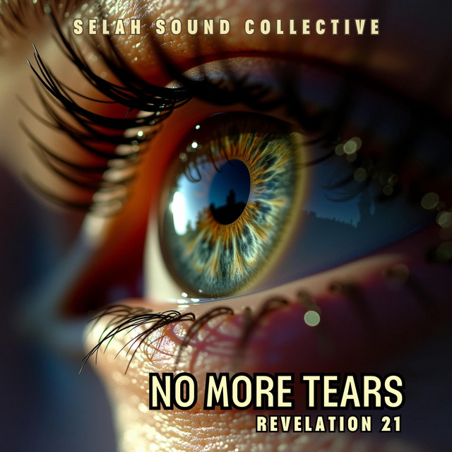 No More Tears cover