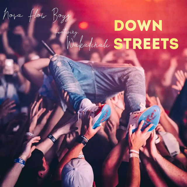 Down streets - song and lyrics by Nova Flow Boyz, Wakadinali | Spotify