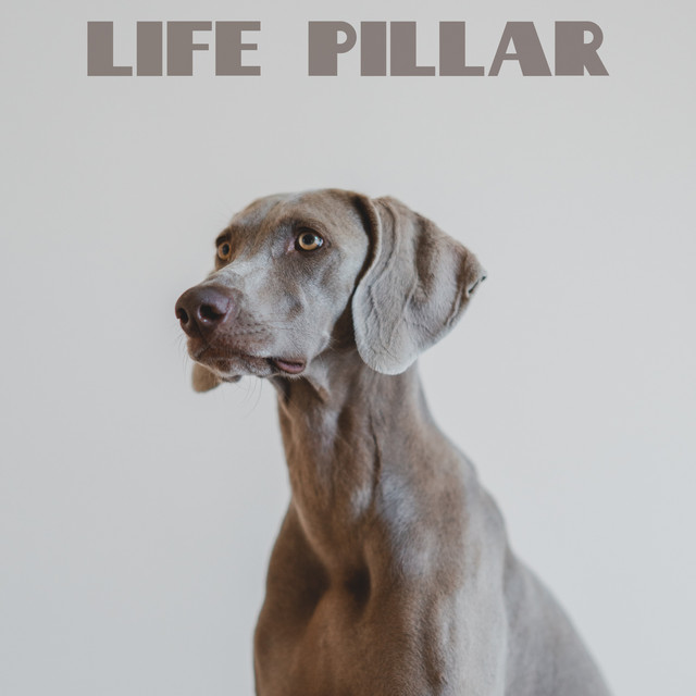 Life Pillar cover art