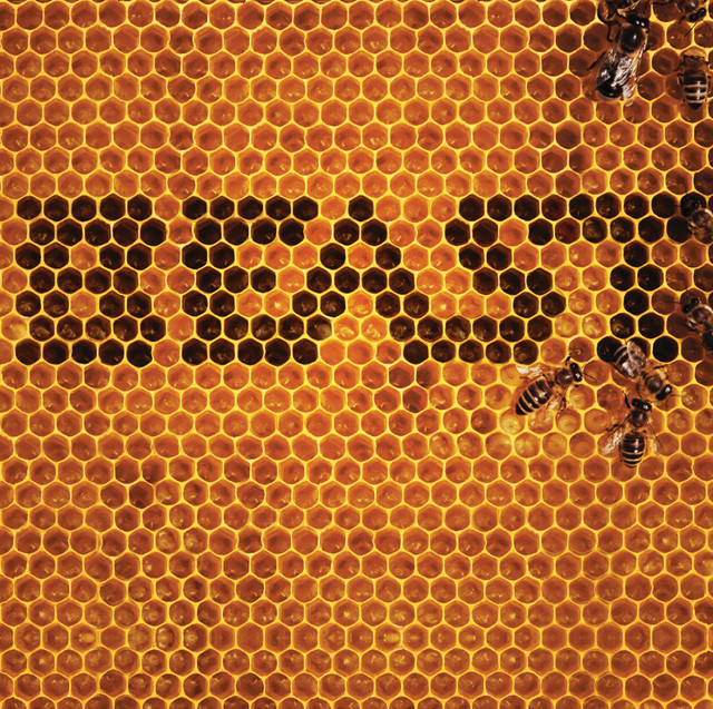 Beast cover art