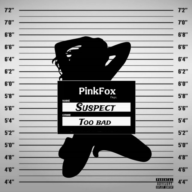 Suspect Too Bad cover art