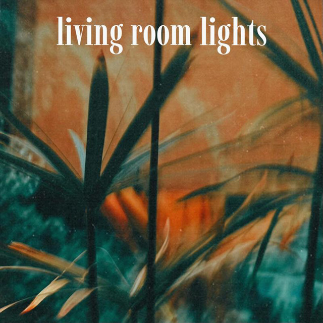 Living Room Lights cover