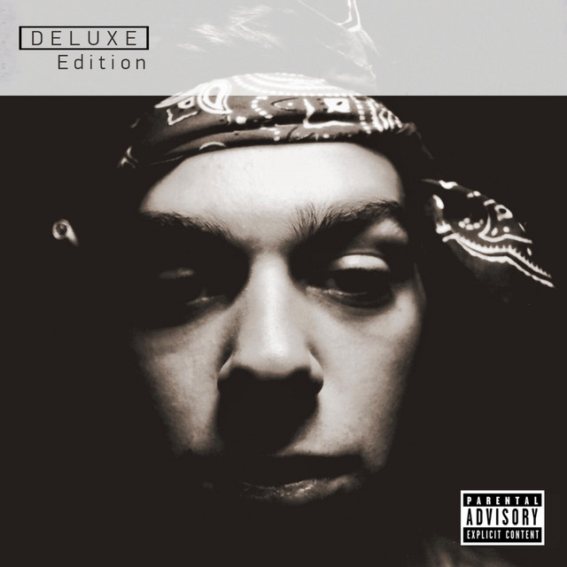 The Stranger (Deluxe Edition) cover art