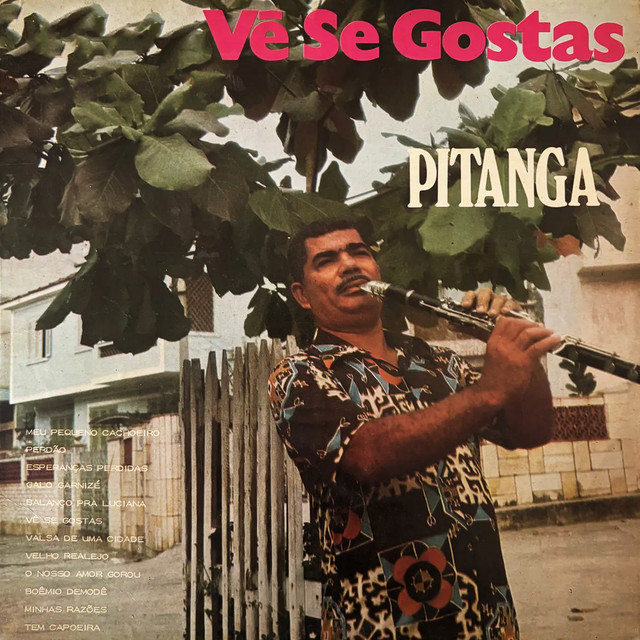 Vê Se Gostas cover art