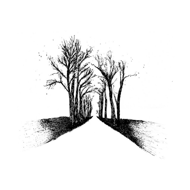 Shape cover art