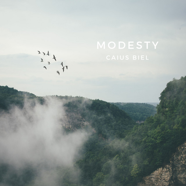 Modesty cover art