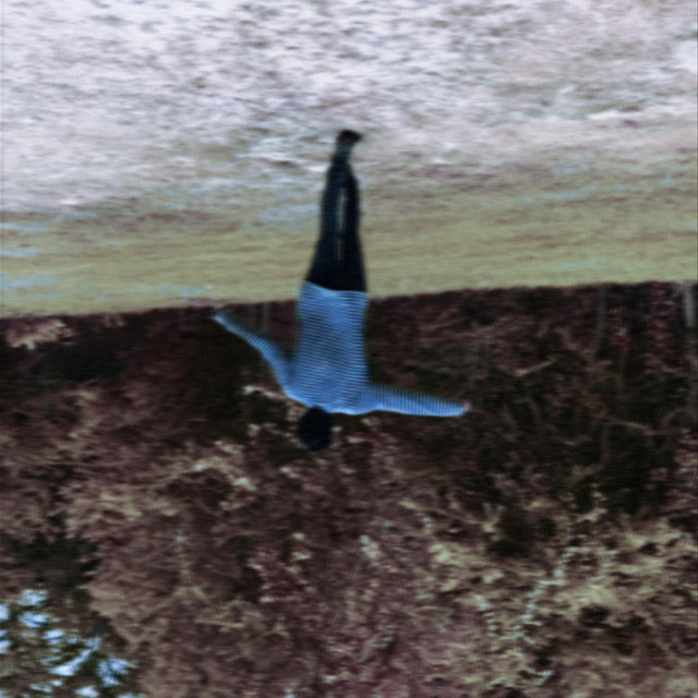 Mirror Mirror cover art