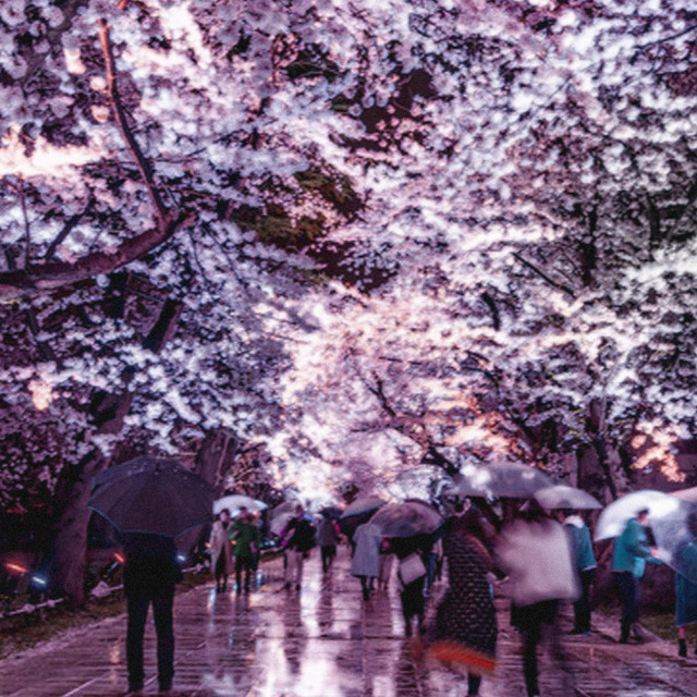 Primavera Fría cover art