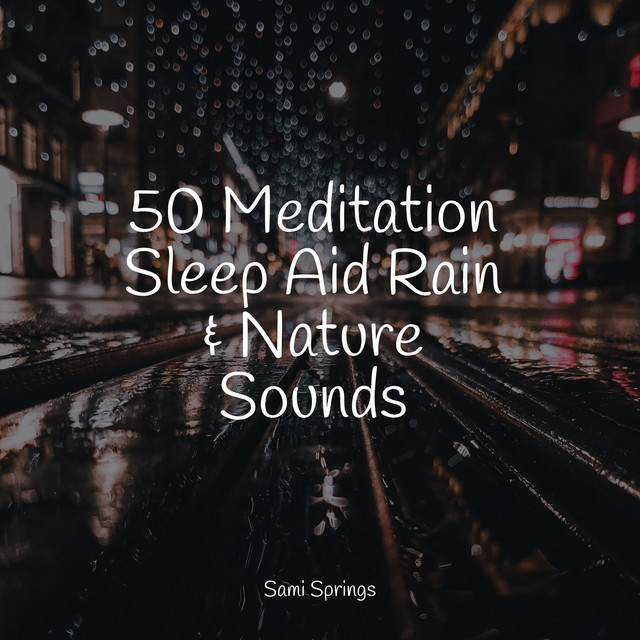 50 Meditation Sleep Aid Rain & Nature Sounds - Album by Namaste Yoga ...