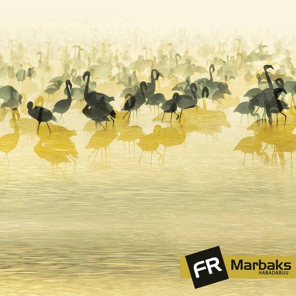 Обкладинка: Habadabuu — Marbaks