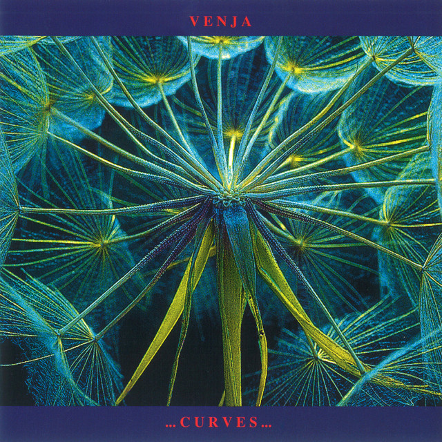 Curves cover