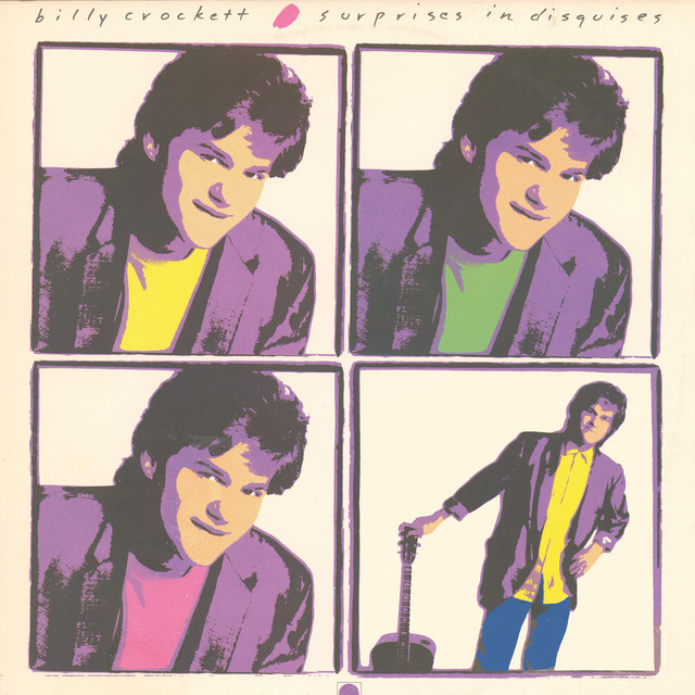 Surprises In Disguises cover